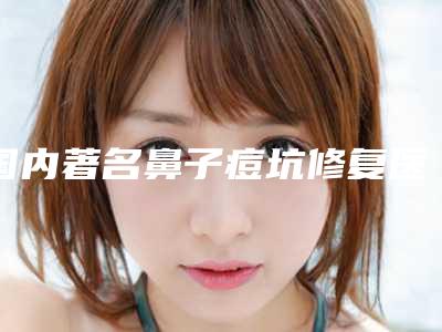 国内著名鼻子痘坑修复医院:鼻子痘坑修复医院50强公立私立盘点