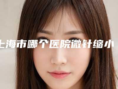 上海市哪个医院微针缩小毛孔好(上海市微针缩小毛孔医院上榜名单正规的_期待翻牌)