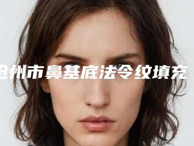 沧州市鼻基底法令纹填充价格(费用)清单展示_全新一览(近6个月均价为：19067元)