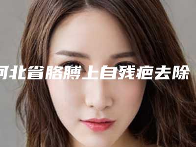 河北省胳膊上自残疤去除价格表(费用)实力强劲样样精(近6个月均价为:4970元)