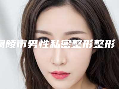 铜陵市男性私密整形整形科价格表(价目)2025版费用标准-近8个月均价为34281元