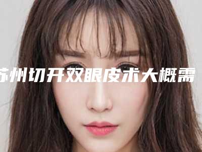 苏州切开双眼皮术大概需要价格是多少钱