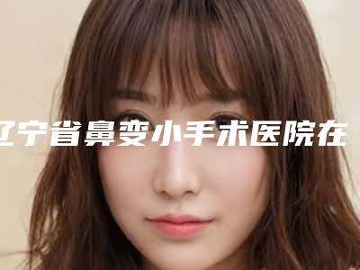 辽宁省鼻变小手术医院在榜名单专家上榜-辽宁省鼻变小手术整形医院